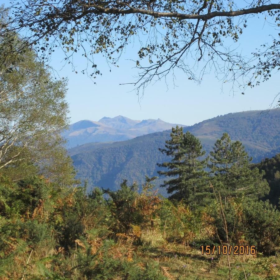 Chalet Les D'alzen