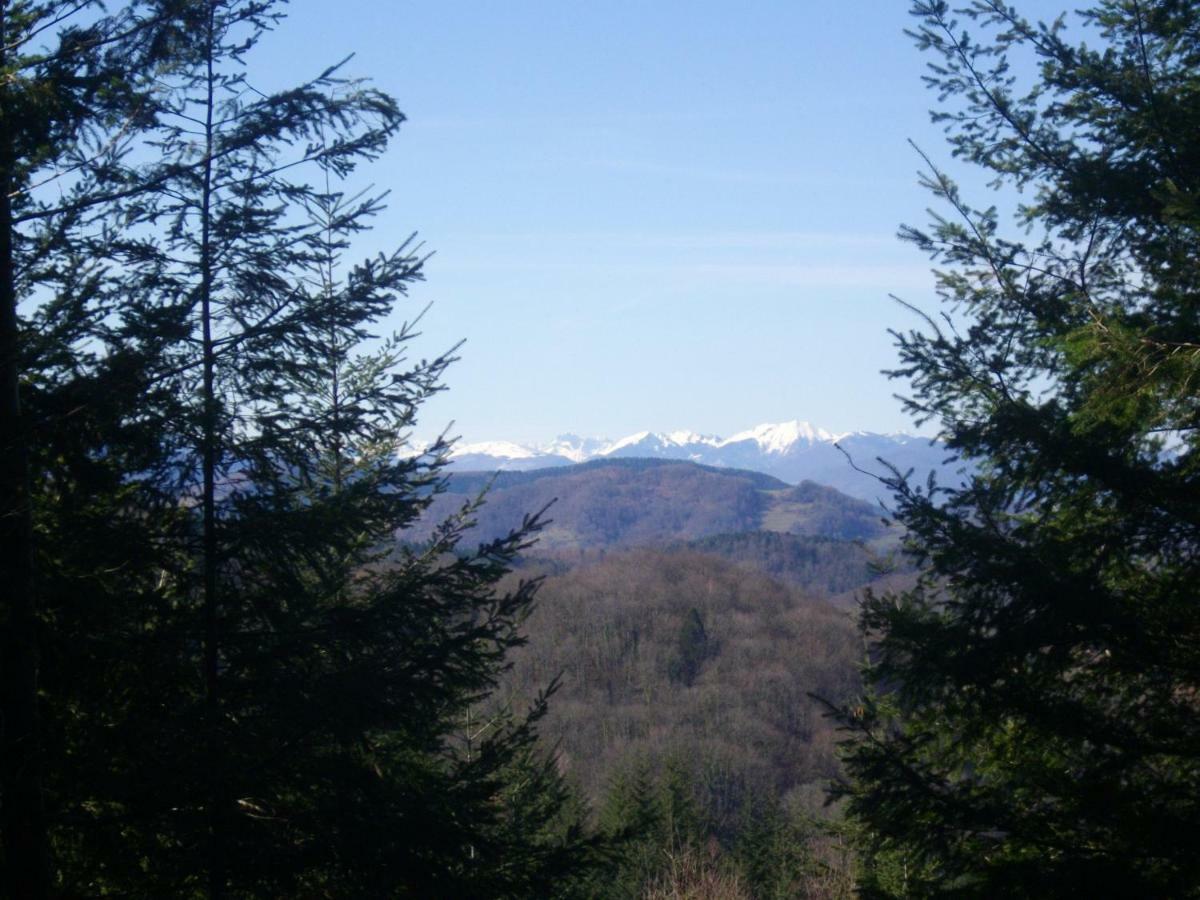 Les D'alzen Chalet