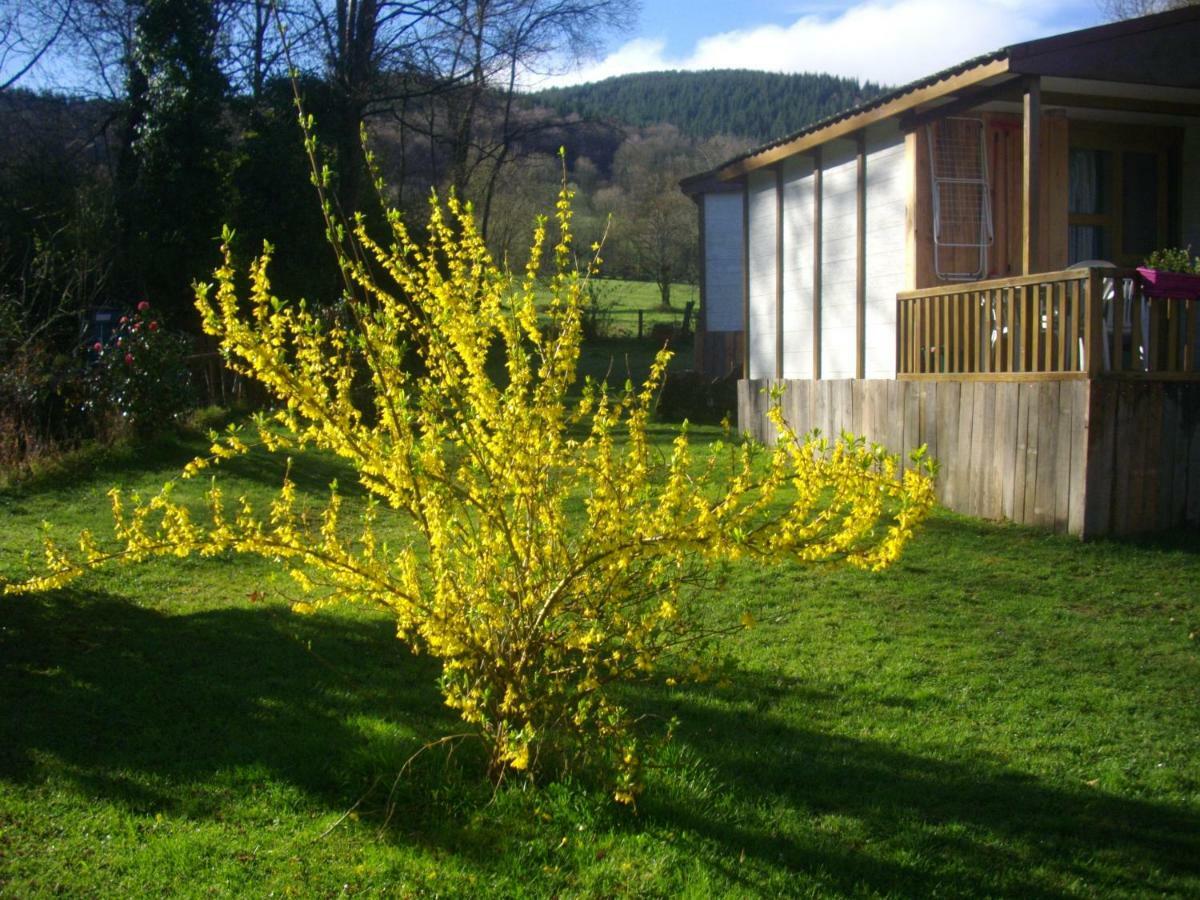 Les D'alzen Chalet *